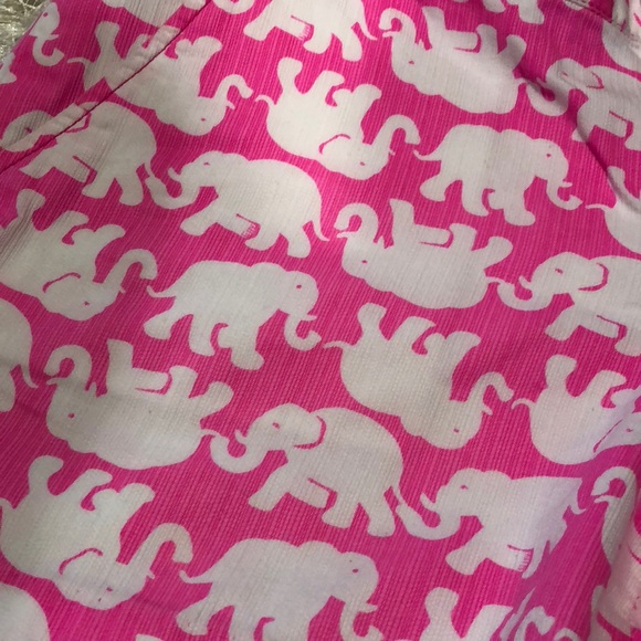 Lilly Pulitzer Tusk in Sun buttercup shorts ๐ โ๏ธ - Picture 7 of 7